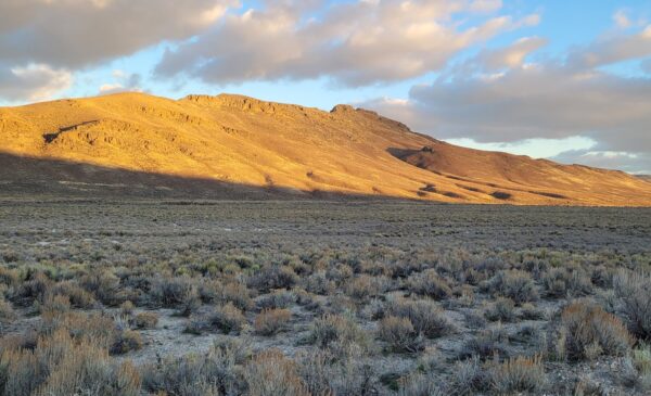 Corporate Information